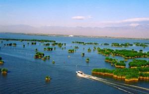 平罗沙湖