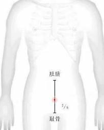 壮阳穴位图片