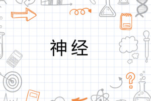 神经