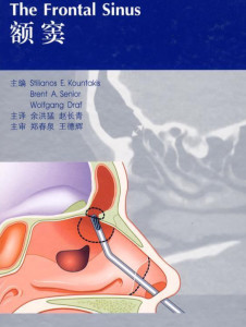 额窦