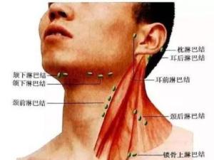 锁骨上淋巴结