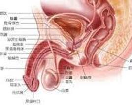 膀胱膨隆