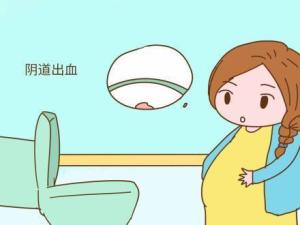 阴道出血