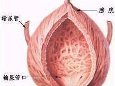 阴囊瘙痒
