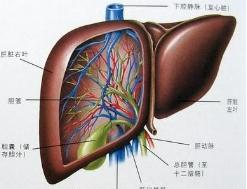 肝硬化腹水
