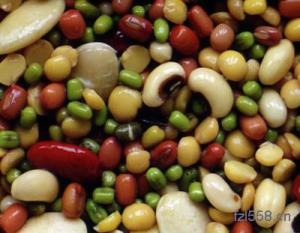 改善饮食——豆子