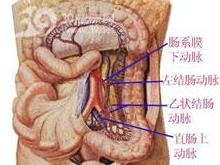右下腹痛