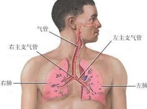 呼吸功能衰竭