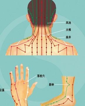 落枕相关治疗穴位