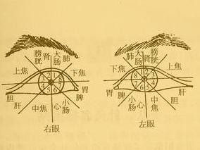 眼睑下垂