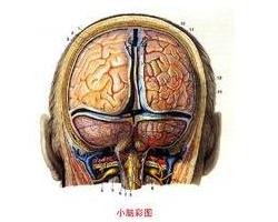 吟诗样语言