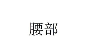 腰部