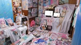 御宅族(日本特殊群体) 御宅族(日本特殊群体)